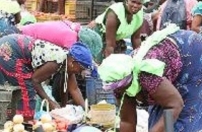  Angola tem 1 milhão de famílias camponesas envolvidas na agricultura