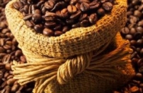 Angola solicita apoio do Brasil no ramo do café Angola solicita apoio do Brasil no ramo do café