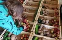 Nações Unidas aprendem com Portugal a combater desperdício alimentar