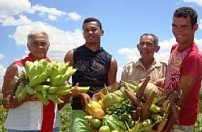 Programa de Aquisição de Alimentos chega aos dez anos como uma política exitosa no País